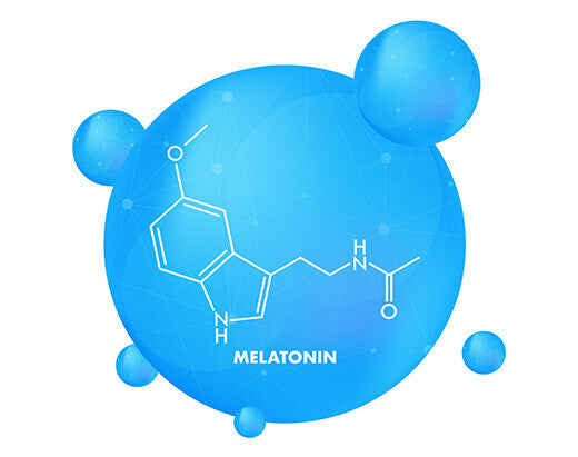Mélatonine : l'hormone naturelle qui régule votre sommeil